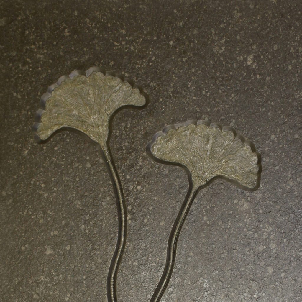 Crinoid Seirocrinus Double