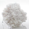 White Calcite Tree Crystal 2