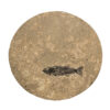 Fossil Stone Drink Table (Round) 170111318t 2