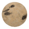 Fossil Stone Drink Table (Round) 170213362t 2