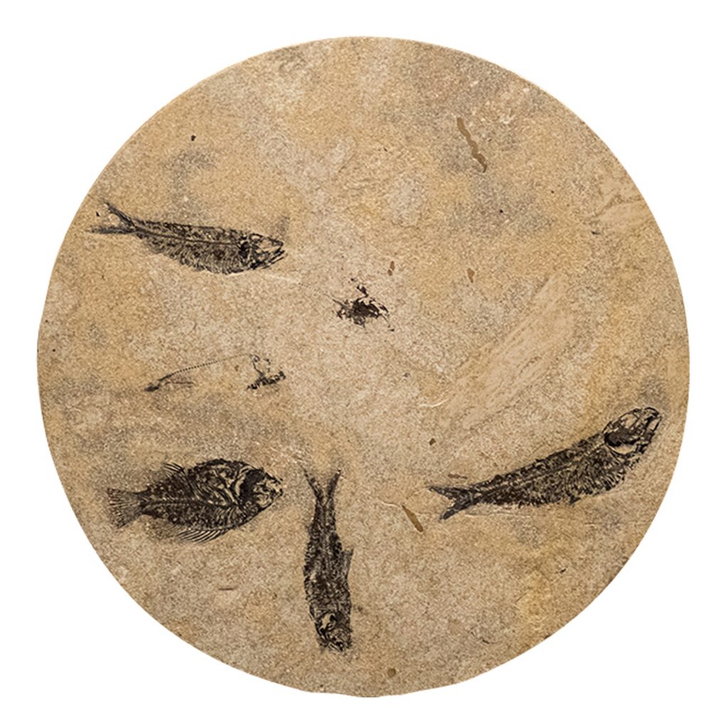 Fossil Stone Drink Table (Round) 170213508t