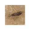 Fossil Tile (Honed) KR66_H126