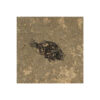 Fossil Tile (Honed) PR88_H039