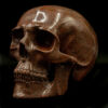 Dino Bone Brown Skull 2