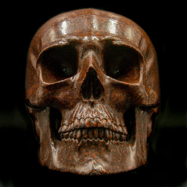 Dino Bone Brown Skull