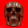Dino Bone Brown Skull 9