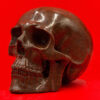 Dino Bone Brown Skull 10
