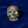 Skull Meteorite #17 – 26