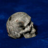Skull Meteorite #21 – 24