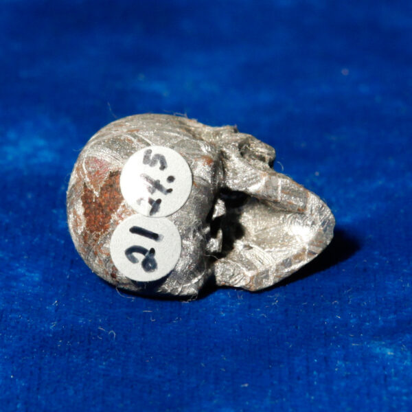 Skull Meteorite #21 - 24.5 grams