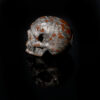 Skull Meteorite #7 – 33