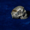 Skull Meteorite #8 – 8
