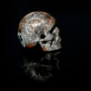 Skull Meteorite #9 – 11