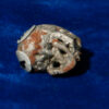 Skull Meteorite #9 – 11